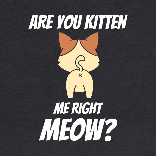 Are You Kitten Me Right Meow by Pink Panda Creations